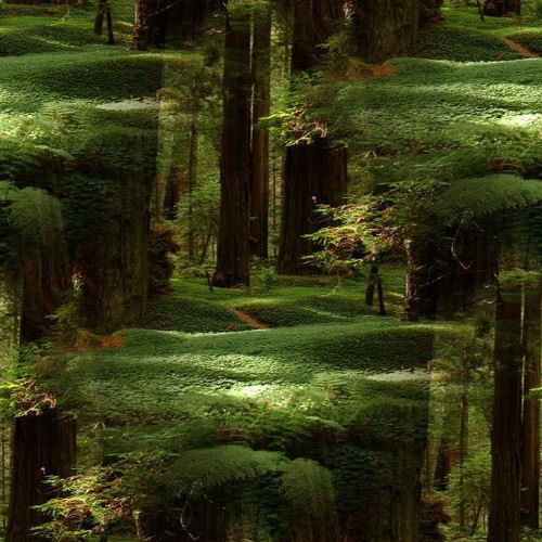 Set-Het bos-1-achte…