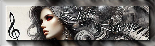 Set-Zwart wit-handt…