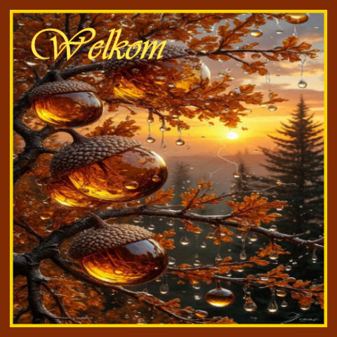 Set-Ochtend dauw-we…