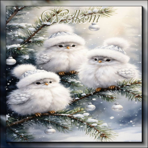 Set-echt winter-wel…